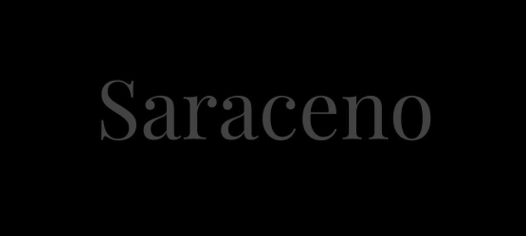Saraceno Sales Team