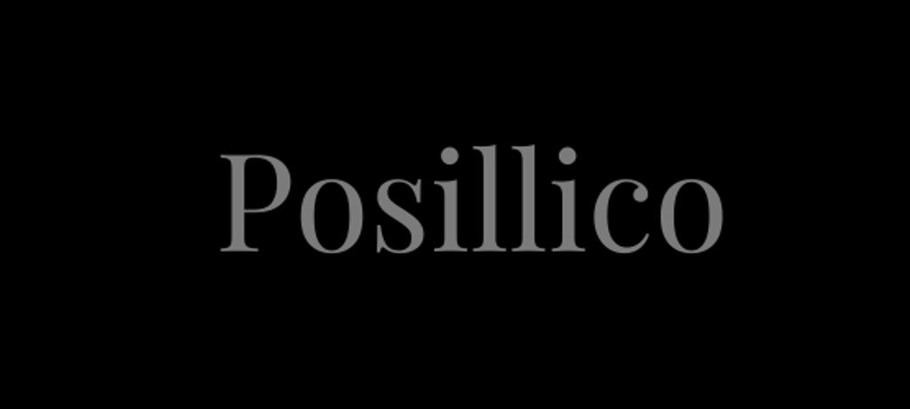 The Posillico Sales Team