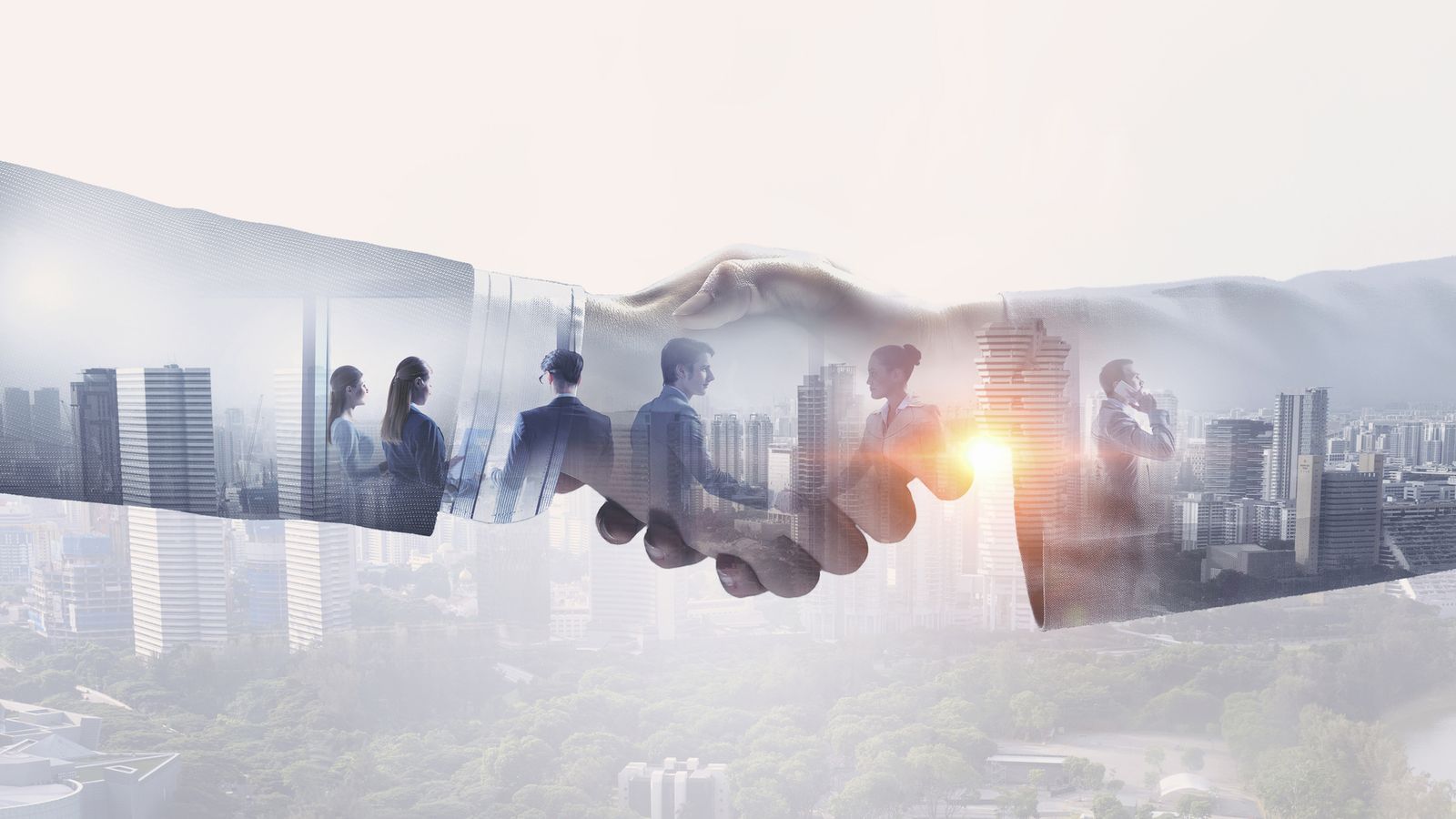 Local Real Estate Business Spotlight: Our Trusted Partners