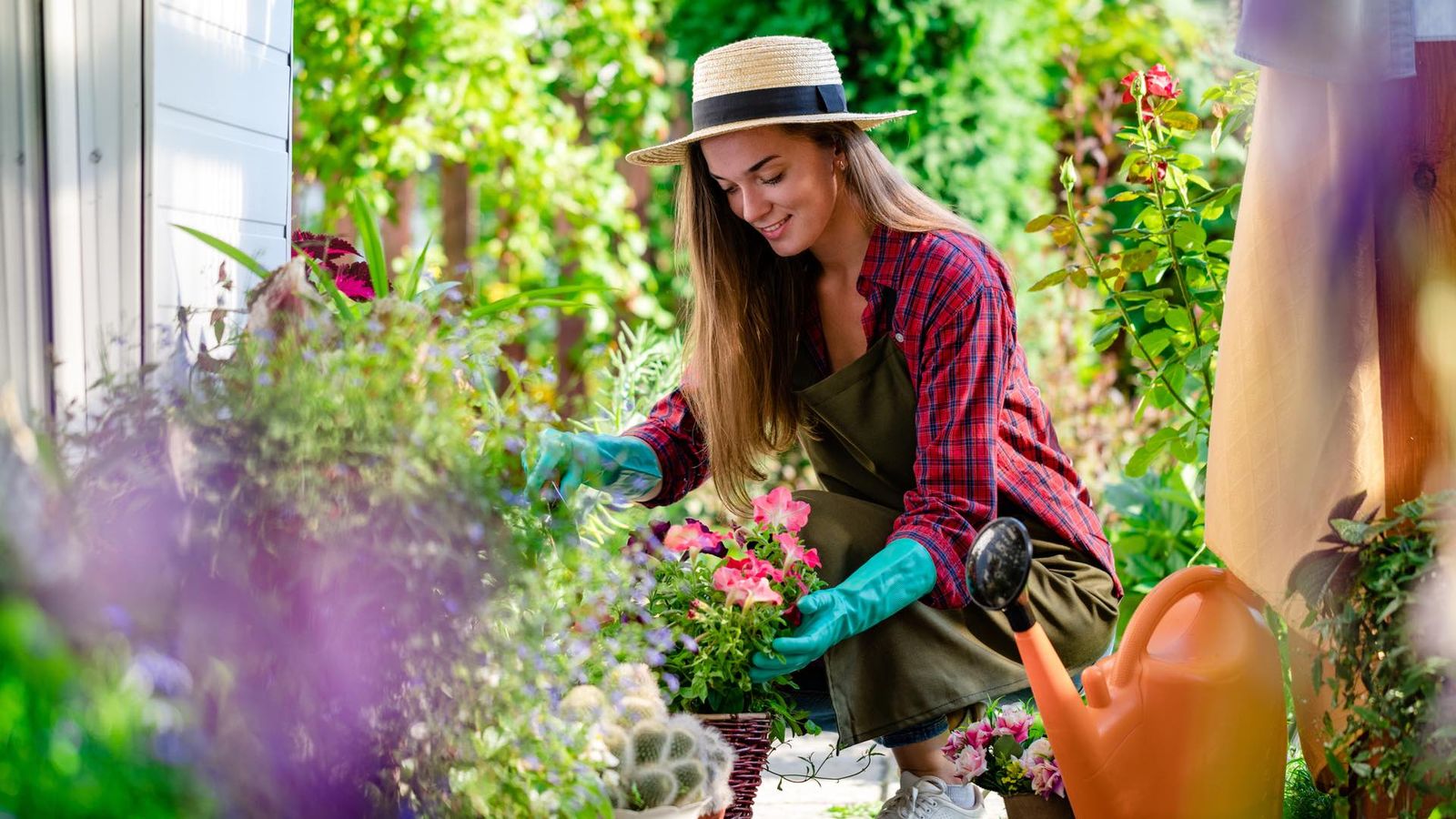 Spruce Up Your Garden With Our Favorite New York Plants and Flowers