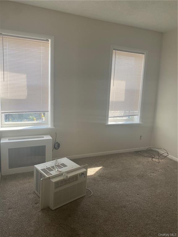 943 E 221st Street Unit: 2 photo 1
