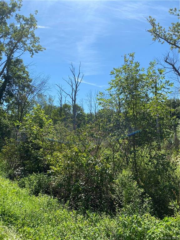 Bower Road, Poughkeepsie