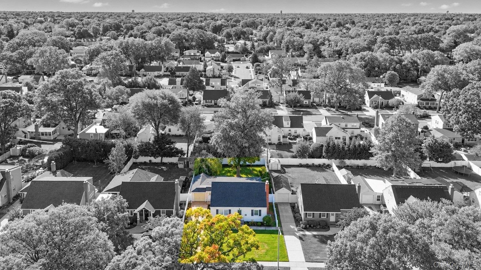 19 Briar Road thumbnail 4