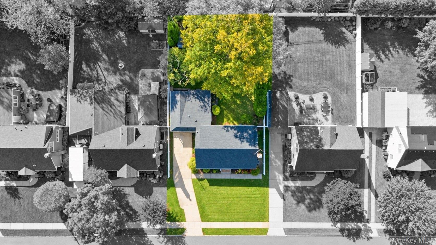 19 Briar Road thumbnail 6
