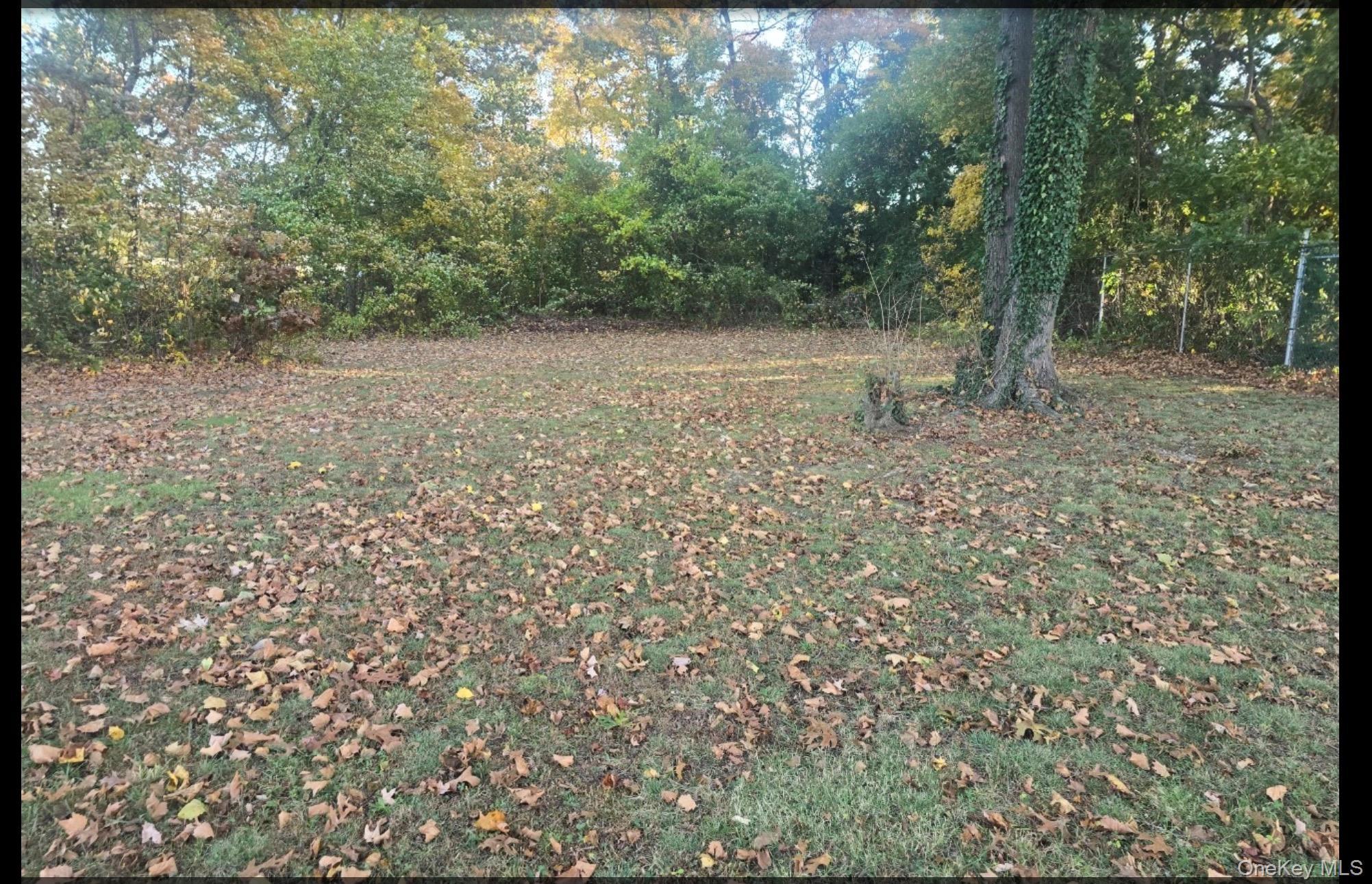 246 Delaware Avenue thumbnail 5