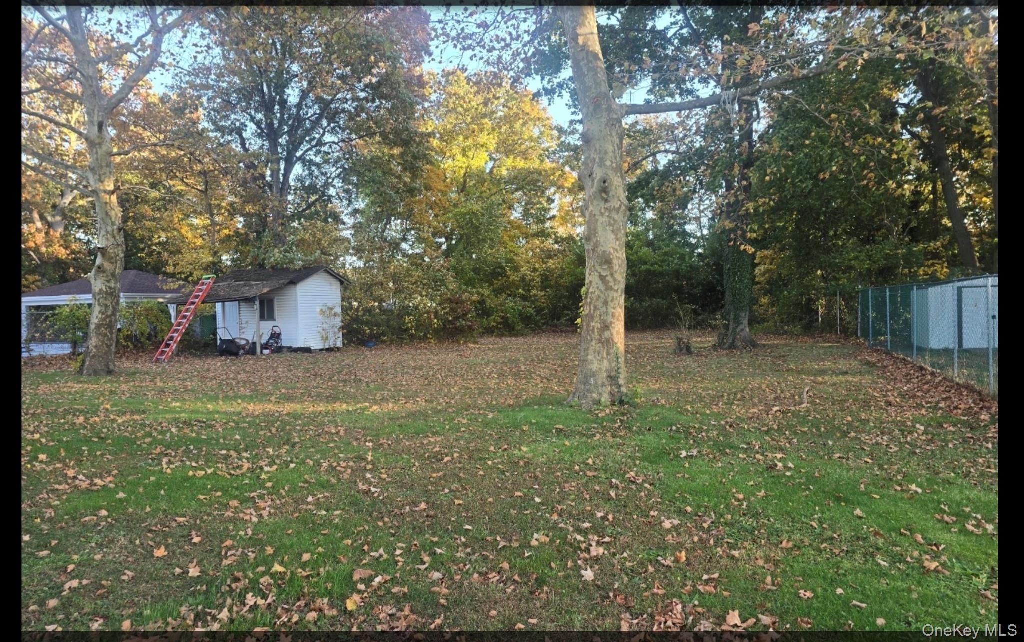 246 Delaware Avenue thumbnail 4