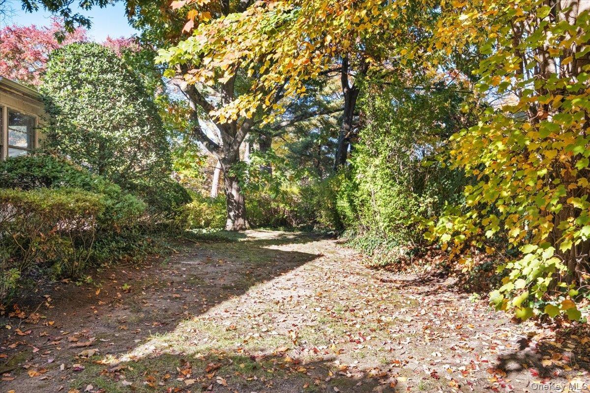 14 Tall Trees Road thumbnail 11