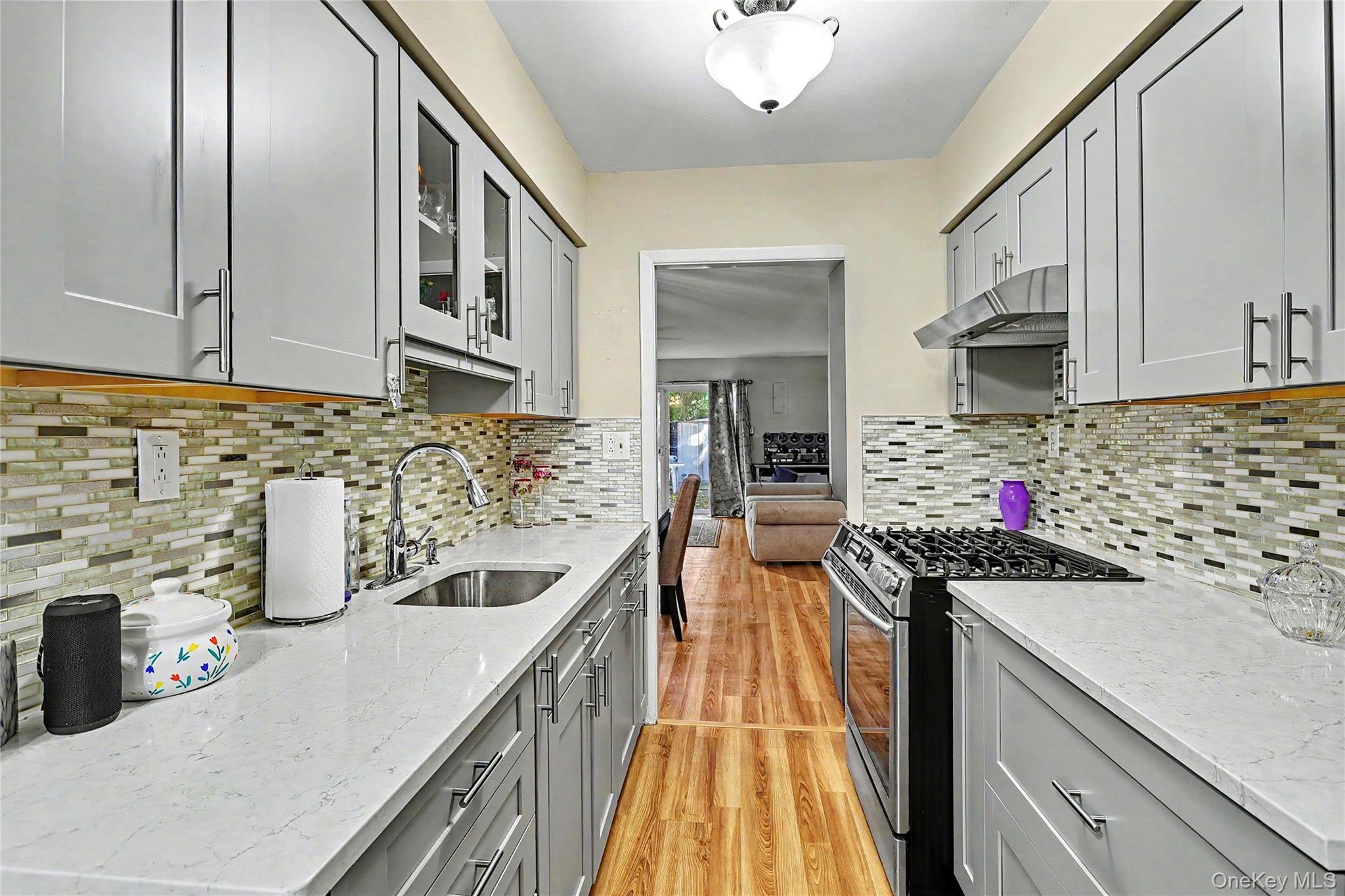 147 Coolidge Street thumbnail 8