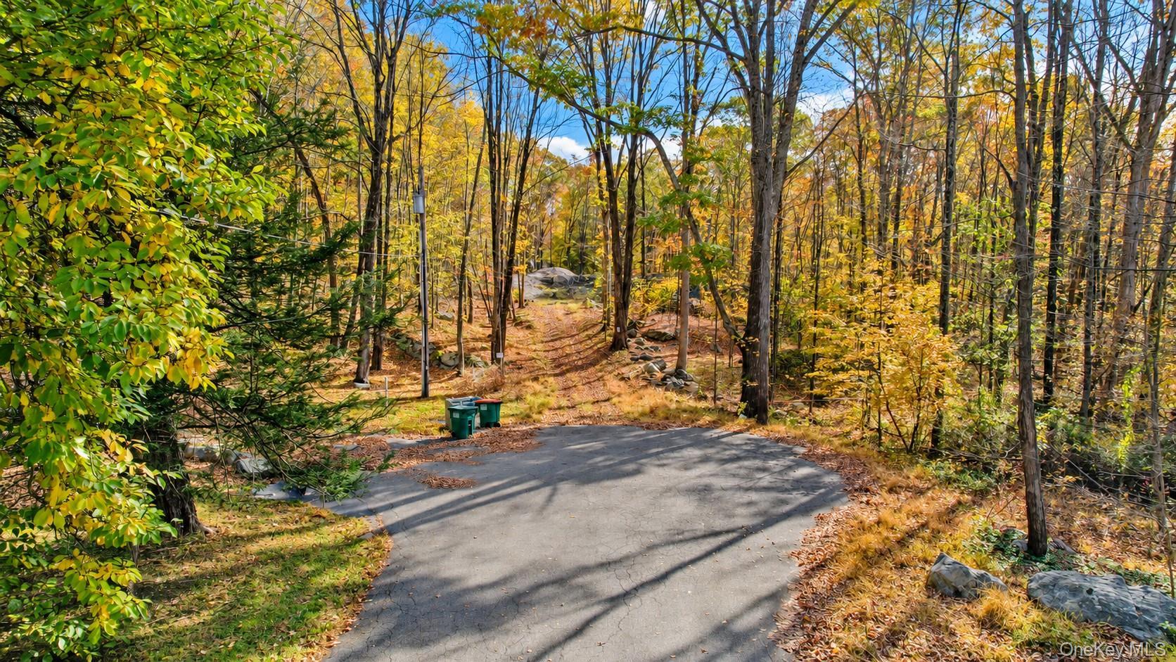 44 Birch Road thumbnail 8