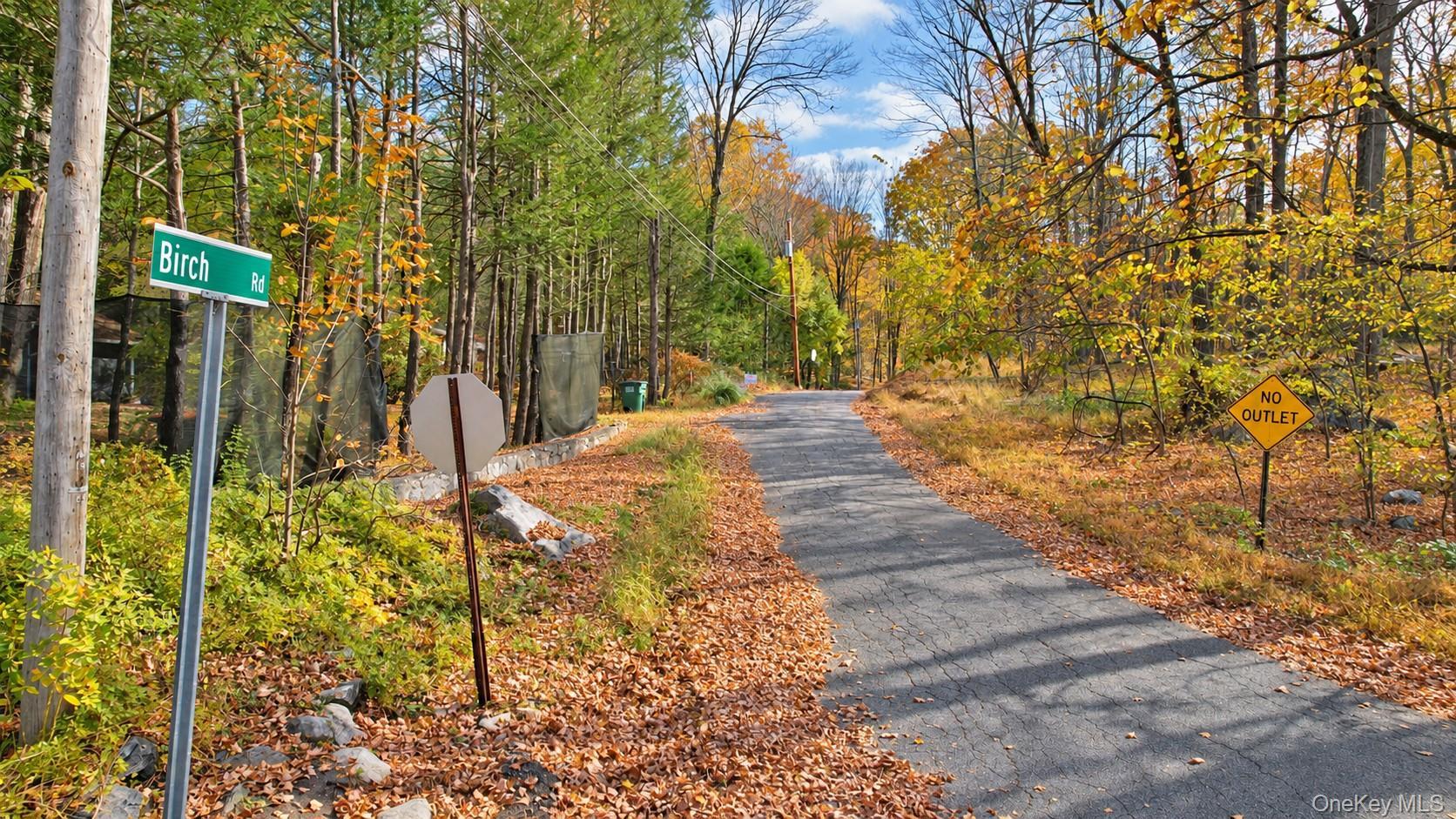 44 Birch Road thumbnail 15