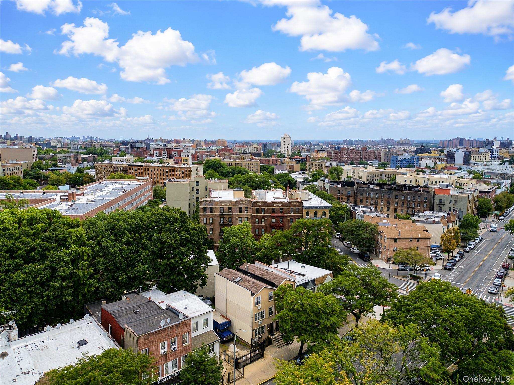 789 E 169th Street thumbnail 24