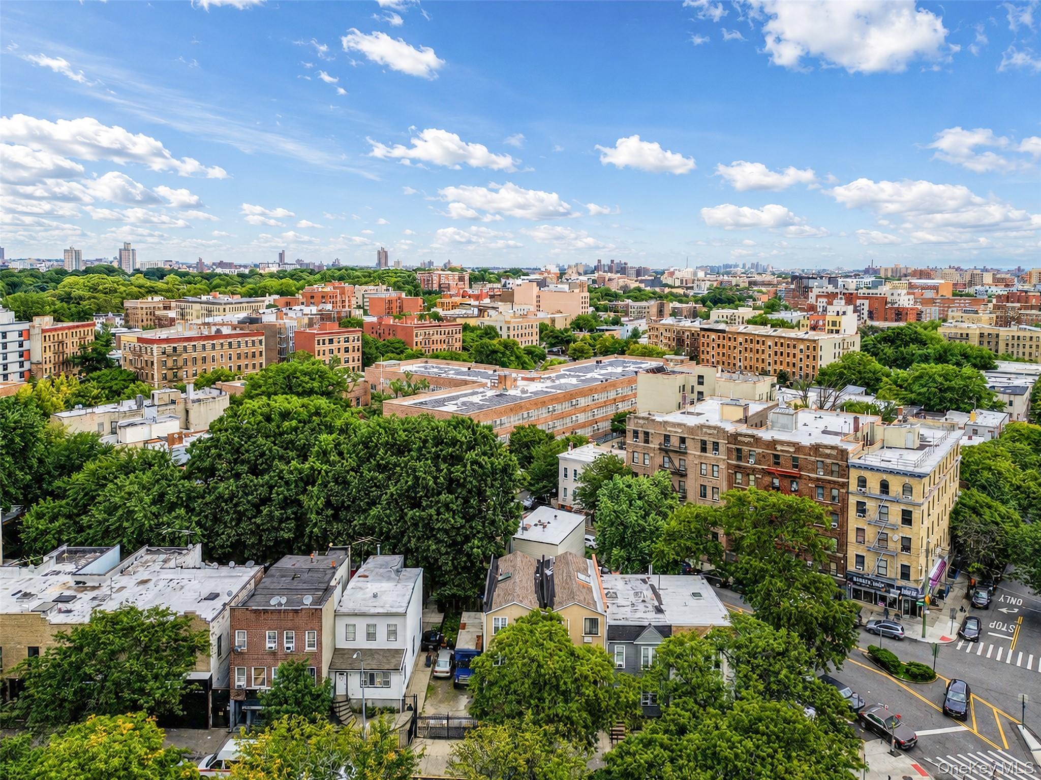 789 E 169th Street thumbnail 23