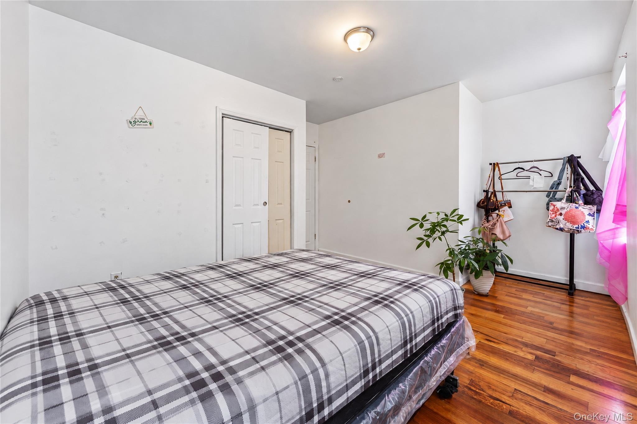789 E 169th Street thumbnail 6