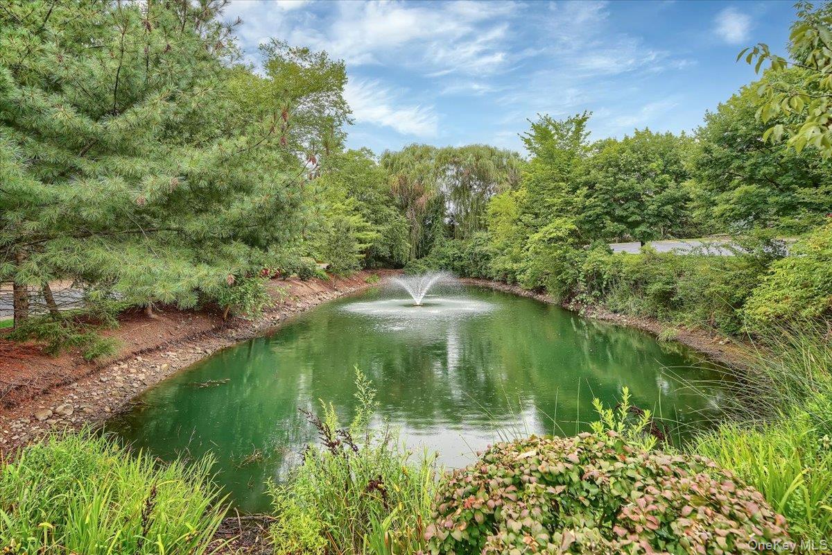 28 N De Baun Avenue Unit: 304 thumbnail 39