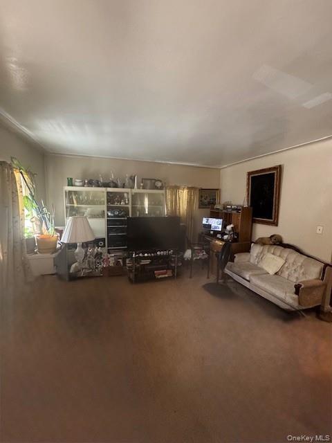 841 E 226th Street thumbnail 8