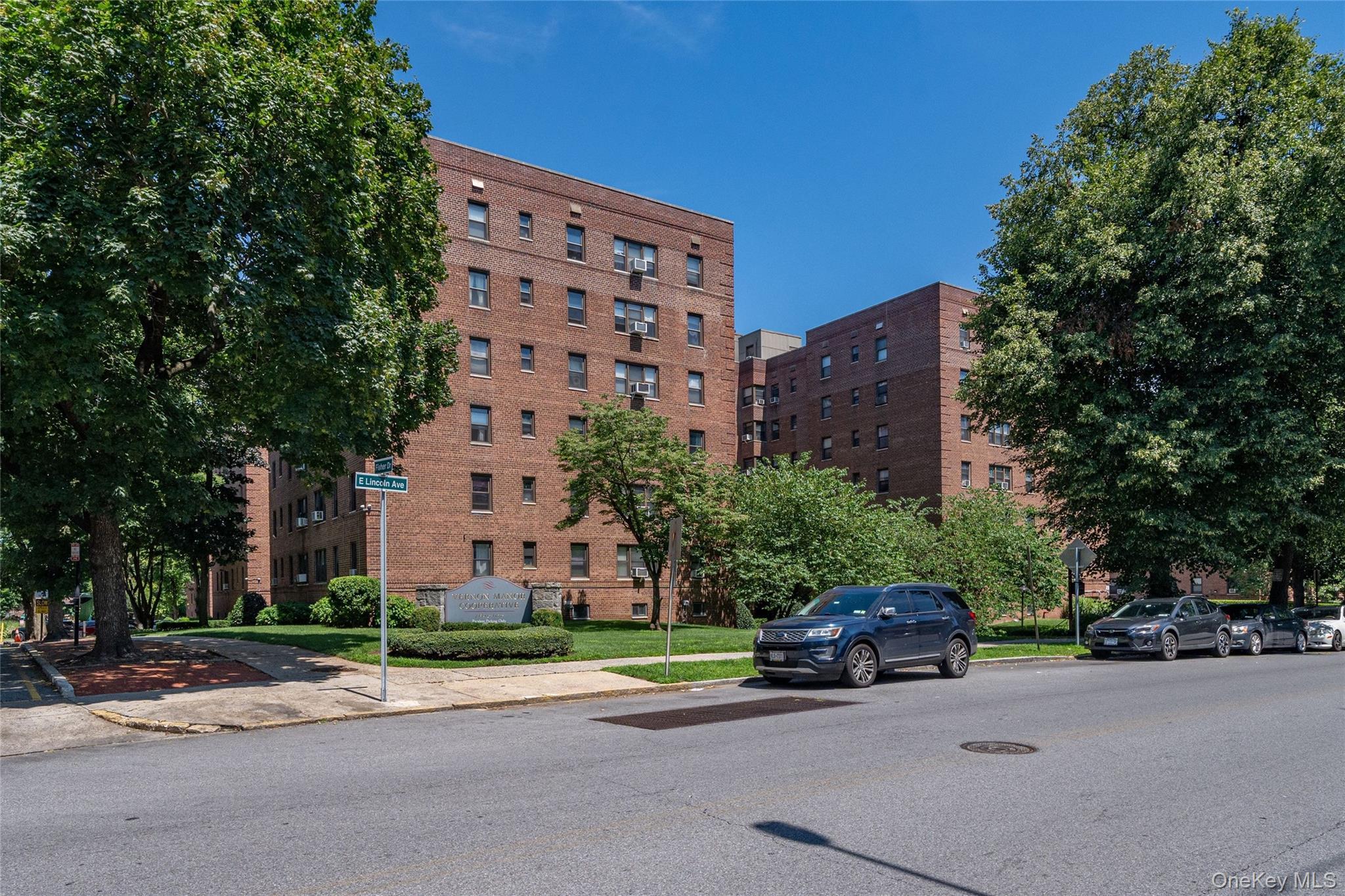 485 E Lincoln Avenue Unit: 207 thumbnail 21