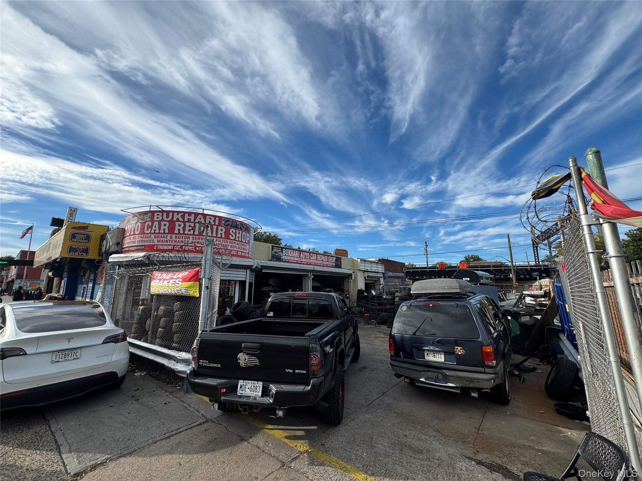 1507 Bronxdale Avenue thumbnail 9