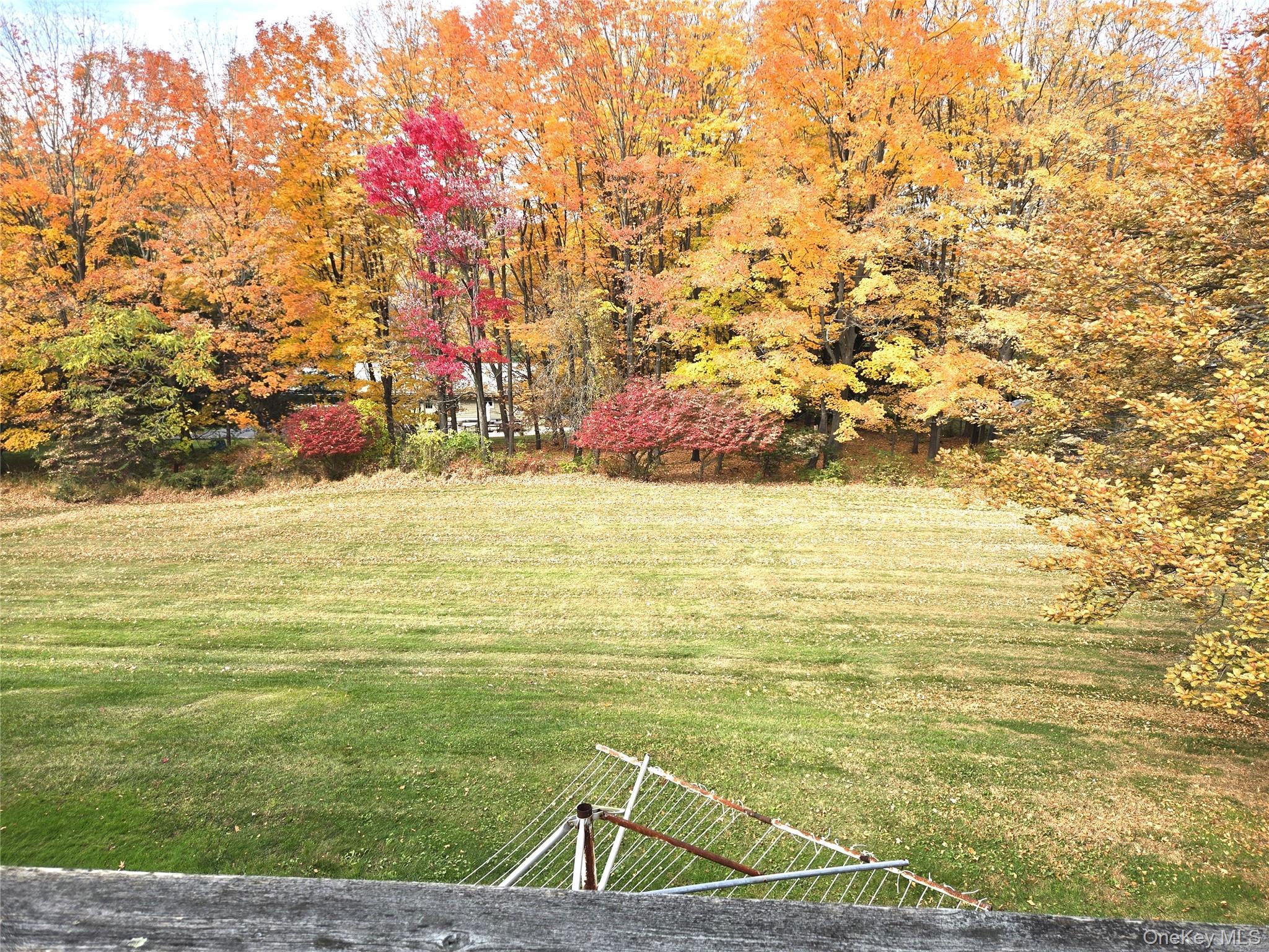 15 Deerwood Drive thumbnail 6