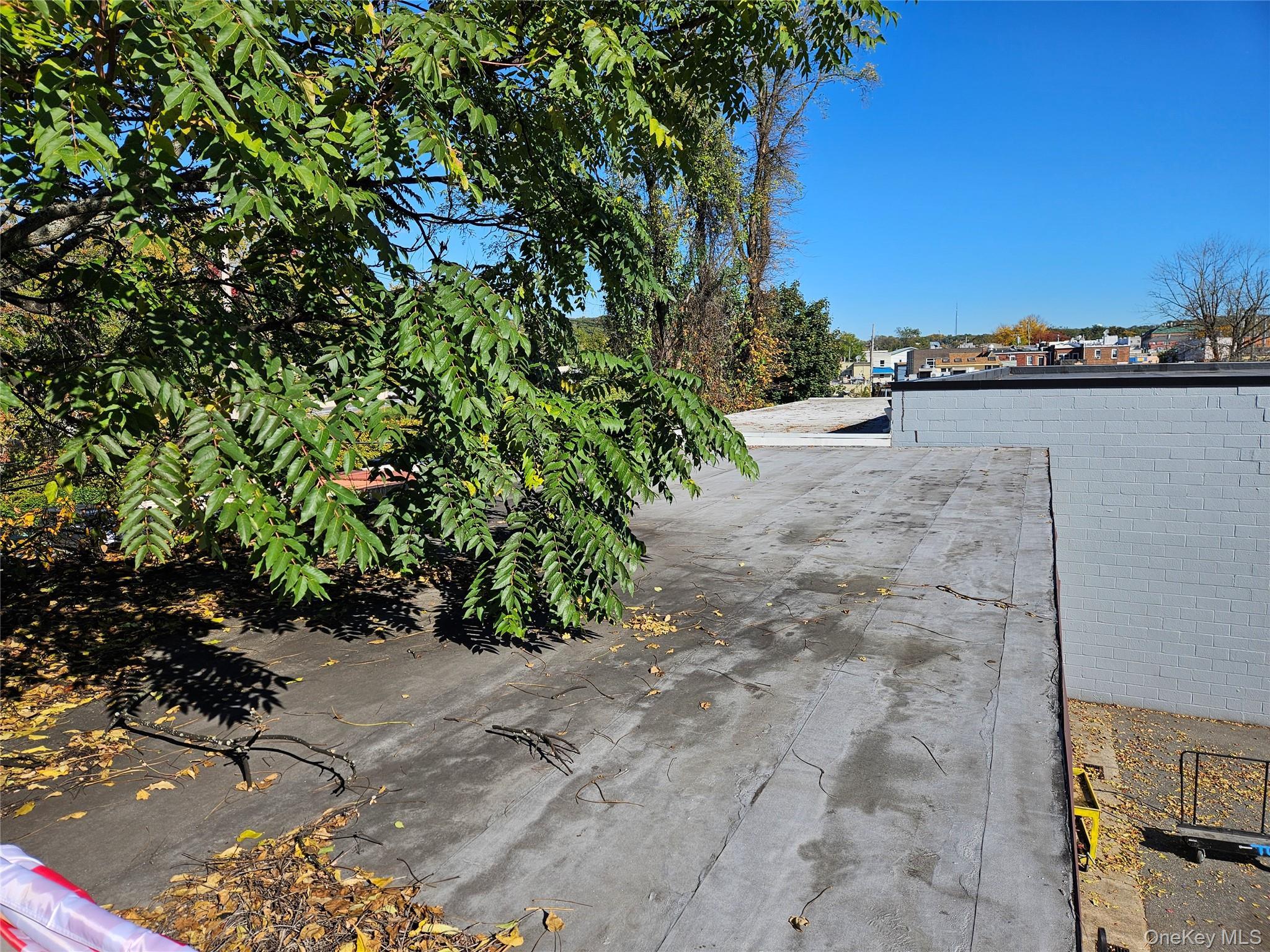 57 S Central Avenue thumbnail 47