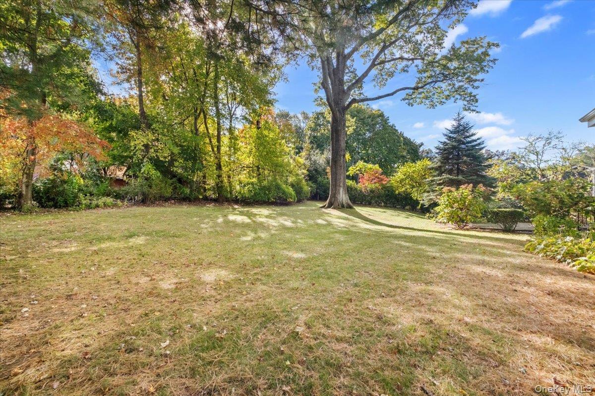 31 Rogers Drive thumbnail 17