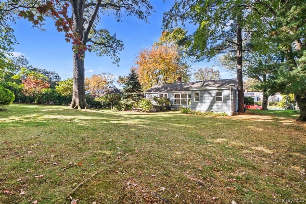 31 Rogers Drive thumbnail 16