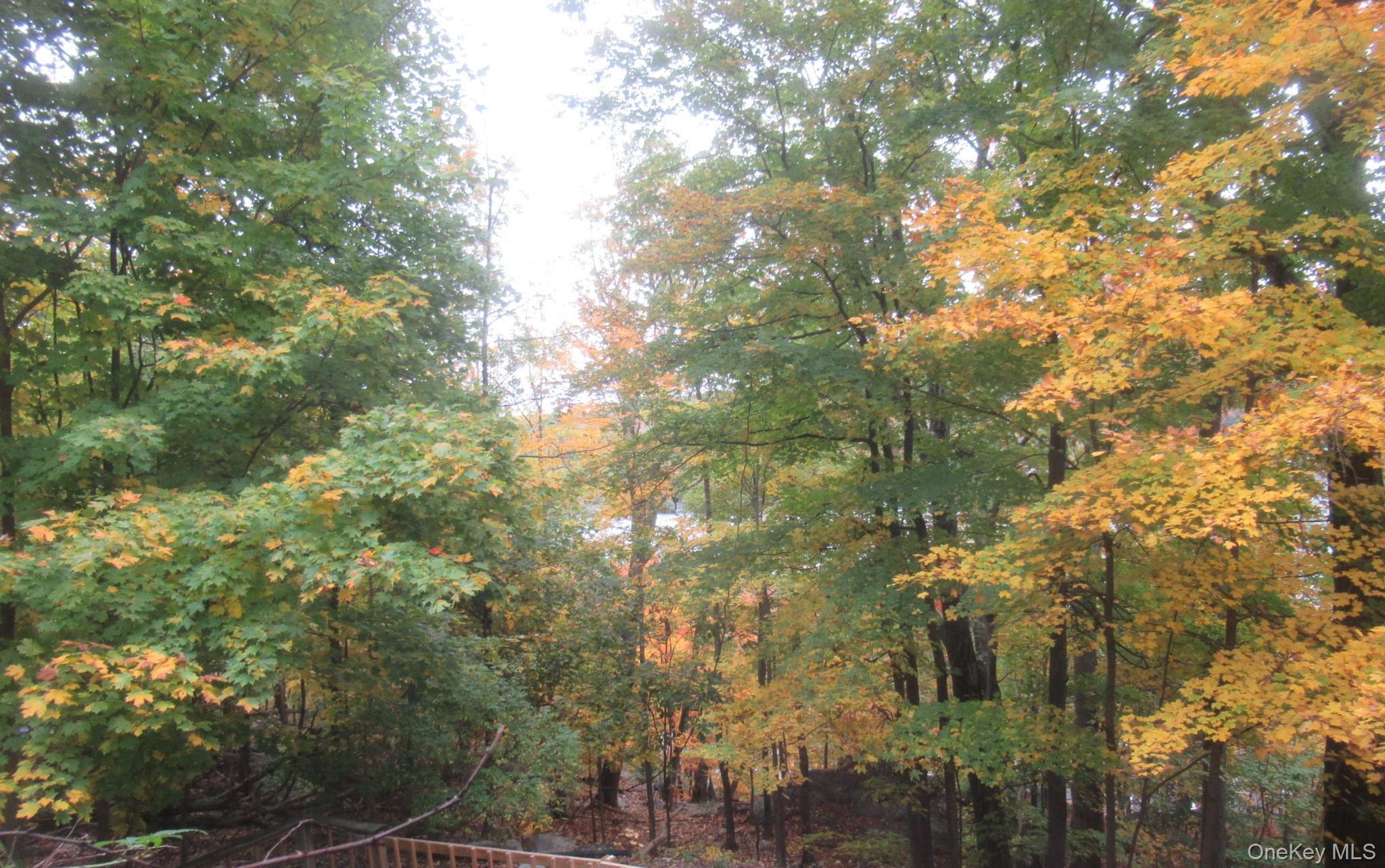 70 Deer Trail thumbnail 22
