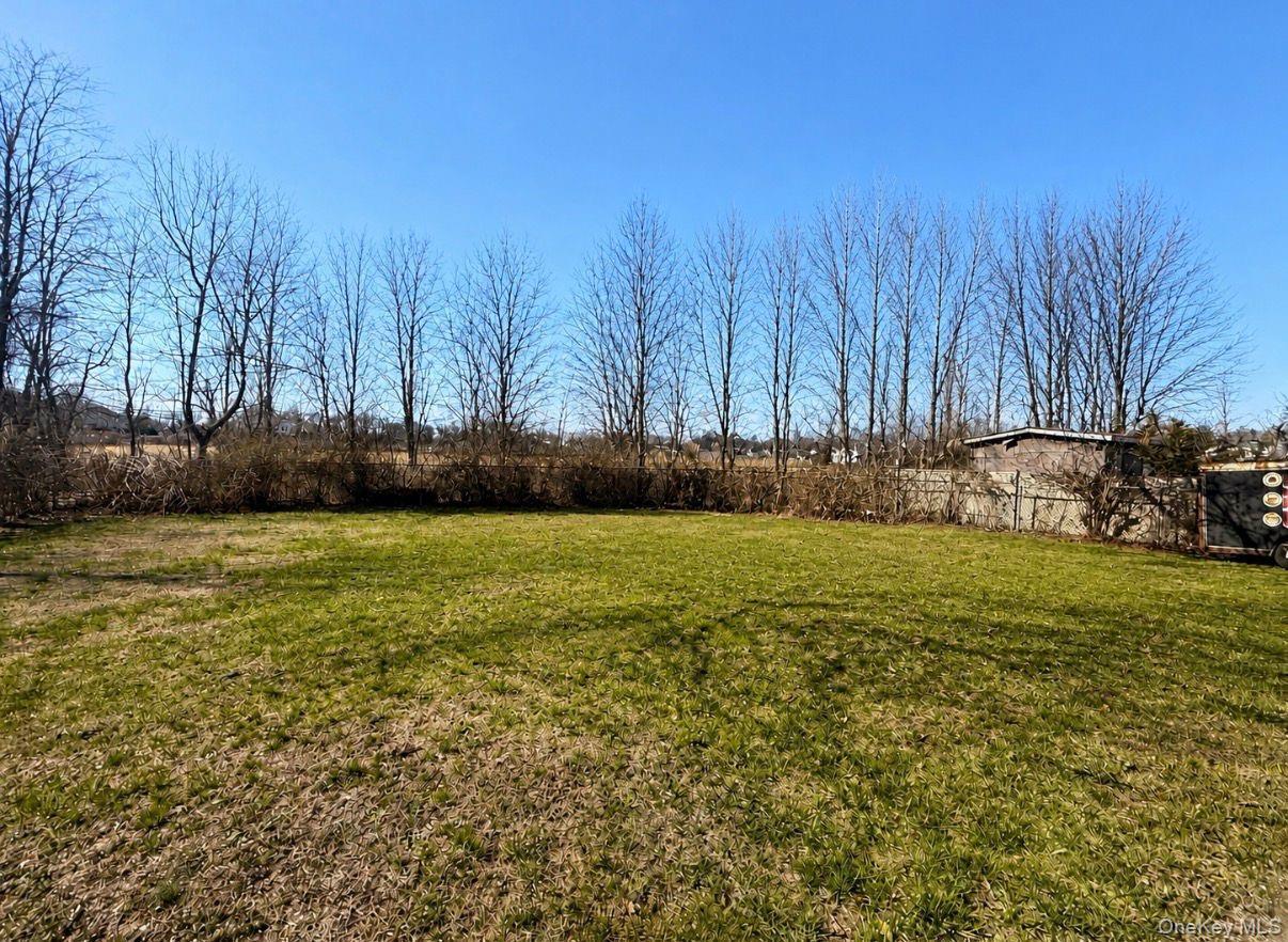 788 Bayview Avenue thumbnail 19