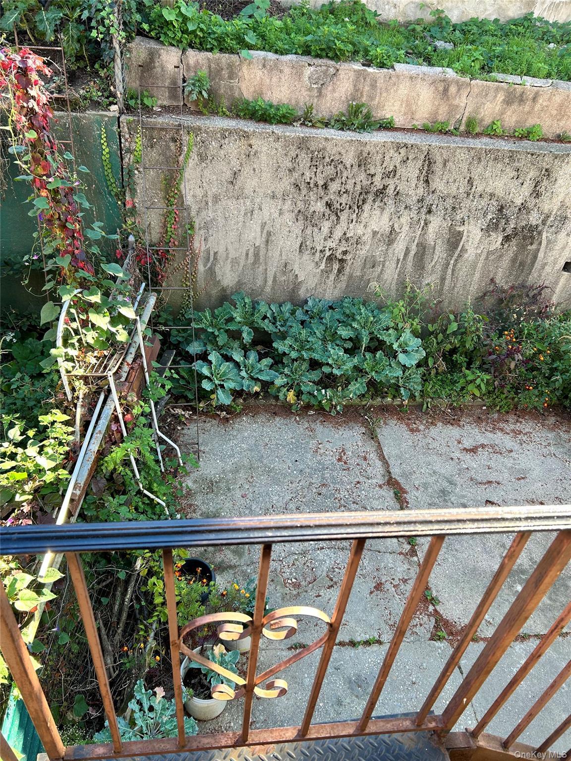 2544 Bronxwood Avenue thumbnail 18