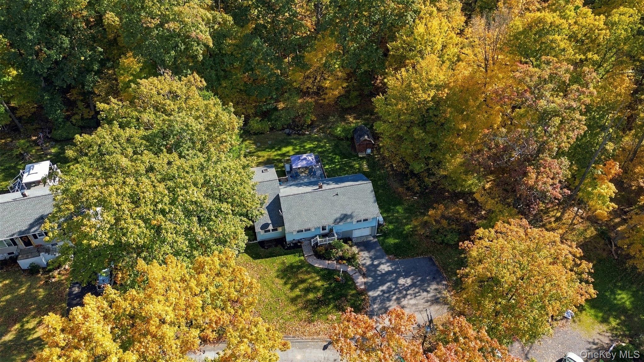 30 Elmwood Drive thumbnail 6