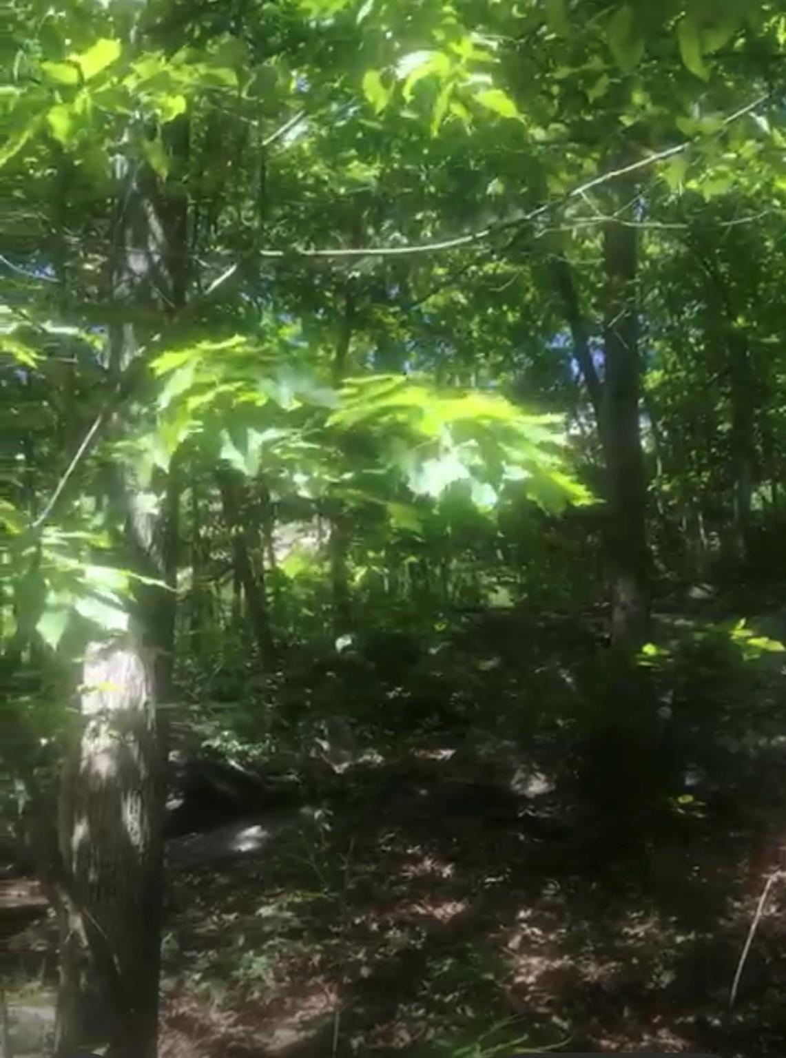 190 Brook Trail, Greenwood Lake