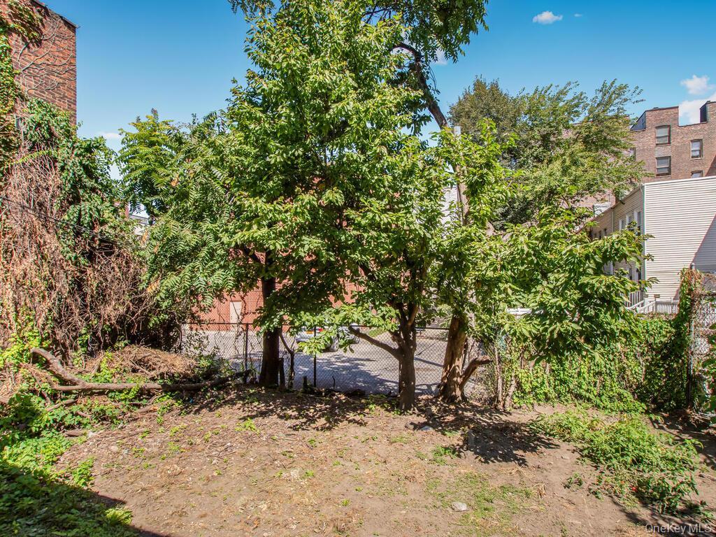277 E 169th Street thumbnail 5