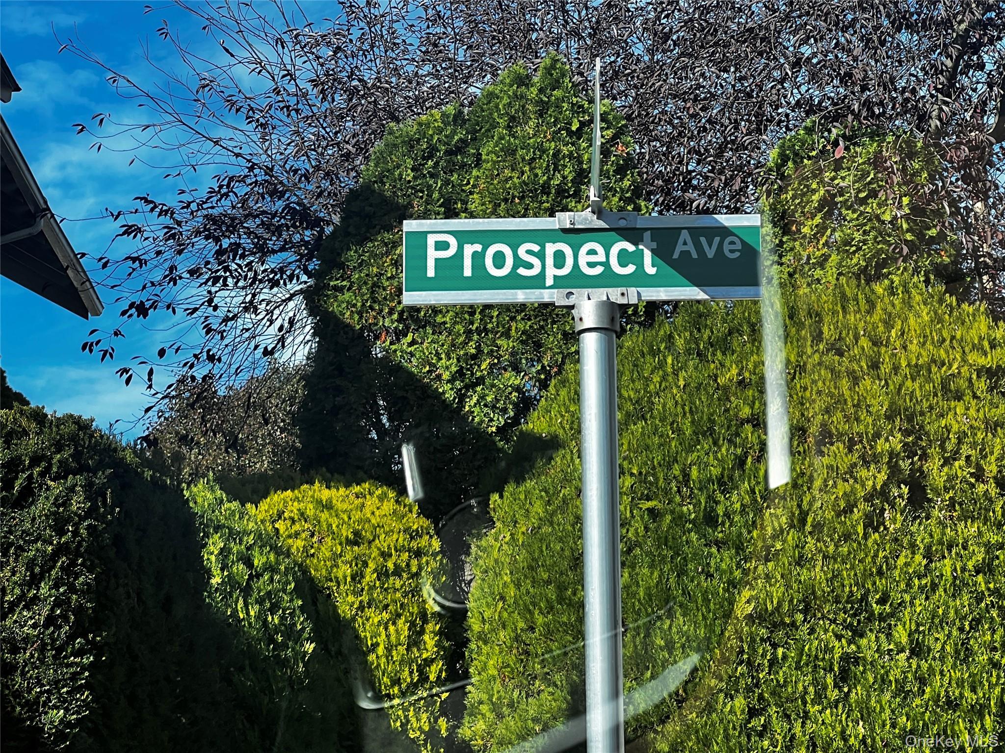 143 Prospect Avenue thumbnail 18